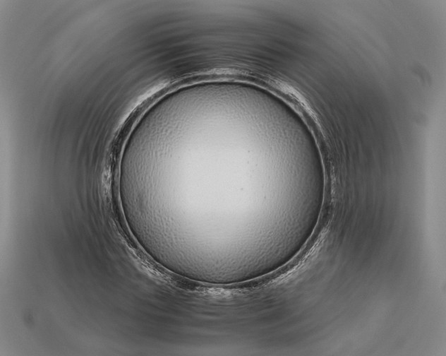 X0000112880827200909111441