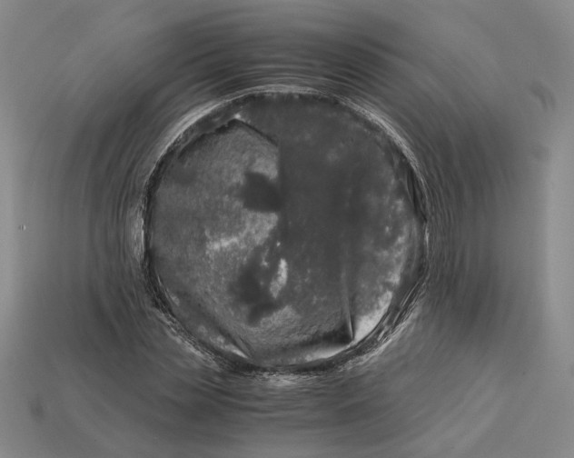 X0000112880829200909111441