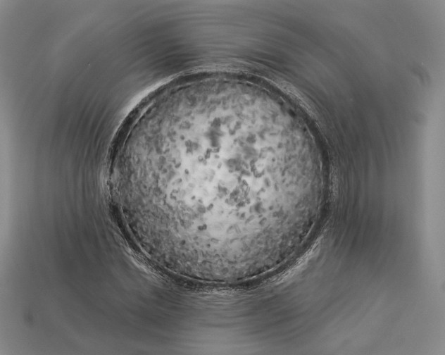 X0000112880830200909111441