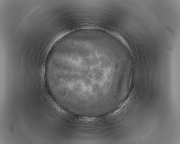 X0000112880831200909111441