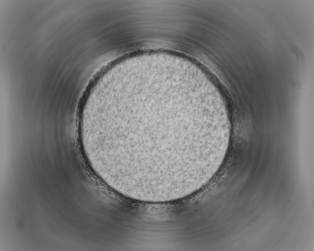 X0000112880832200909111441