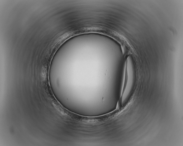 X0000112880833200909111441