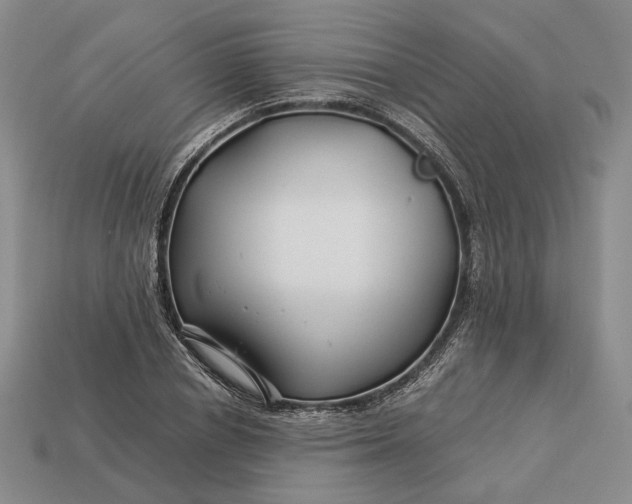 X0000112880834200909111441