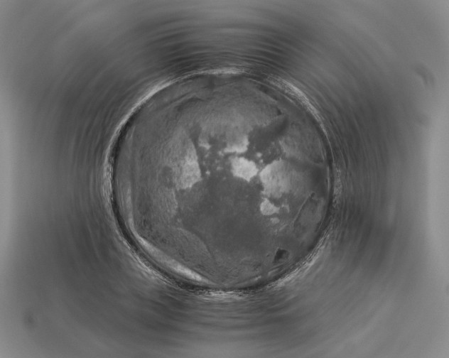 X0000112880835200909111441