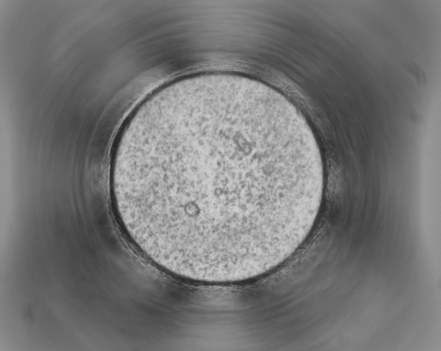 X0000112880836200909111441