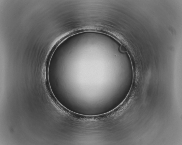 X0000112880838200909111441