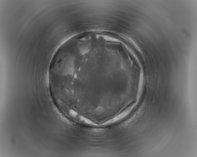 X0000112880839200909111441