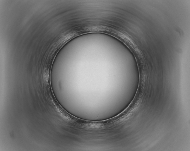 X0000112880841200909111441