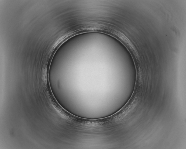 X0000112880842200909111441