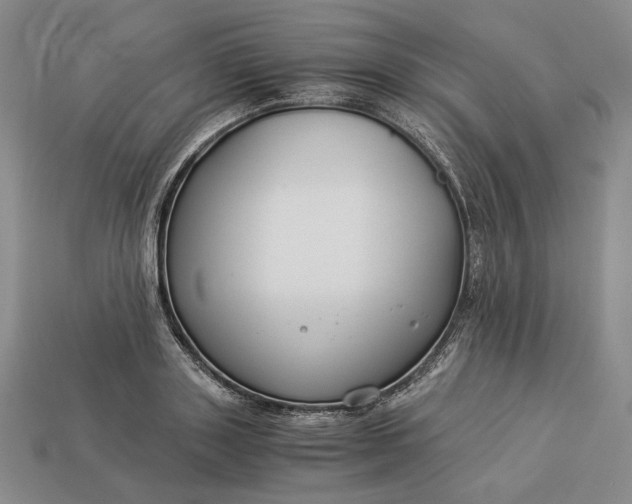 X0000112880843200909111441