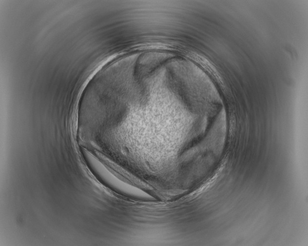 X0000112880844200909111441