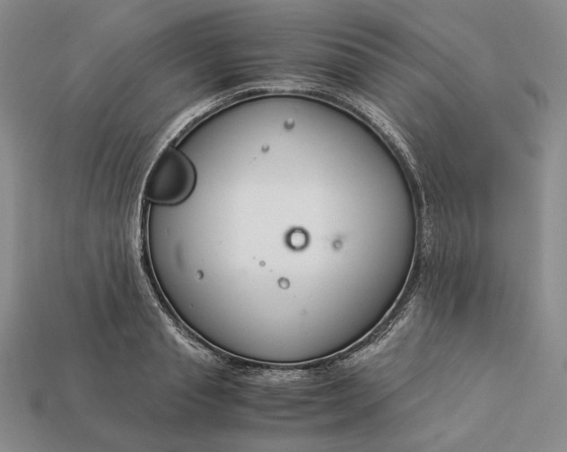 X0000112880845200909111441