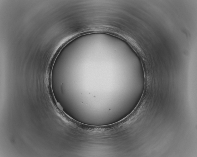 X0000112880846200909111441