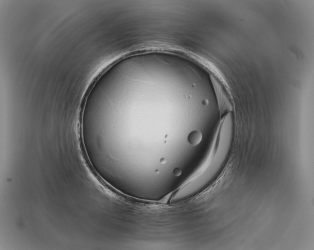 X0000112880847200909111441