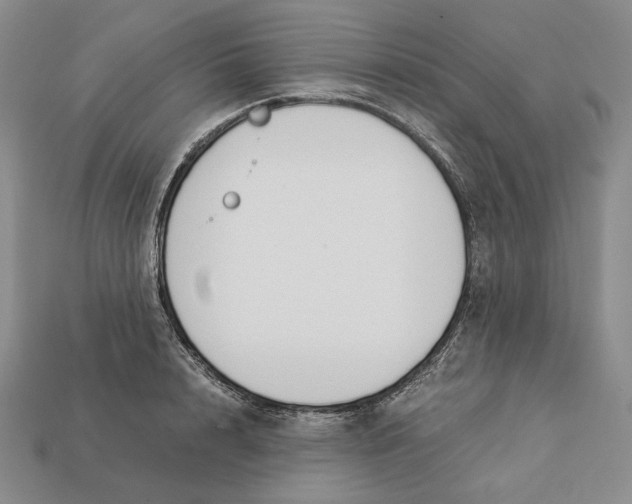 X0000112880848200909111441