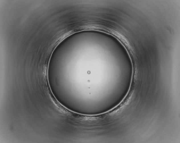 X0000112880849200909111441