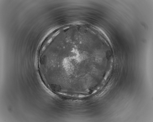 X0000112880851200909111441