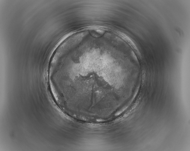 X0000112880852200909111442