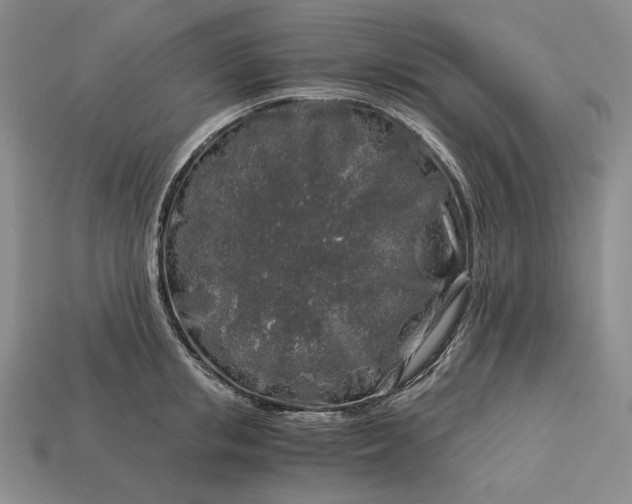 X0000112880853200909111442