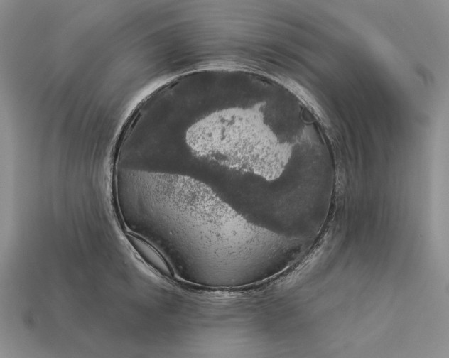 X0000112880854200909111442