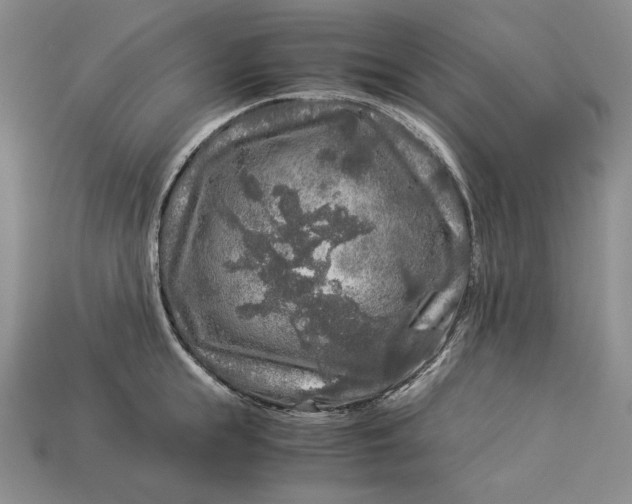 X0000112880855200909111442