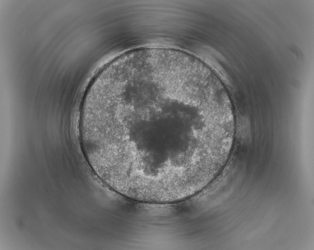 X0000112880856200909111442