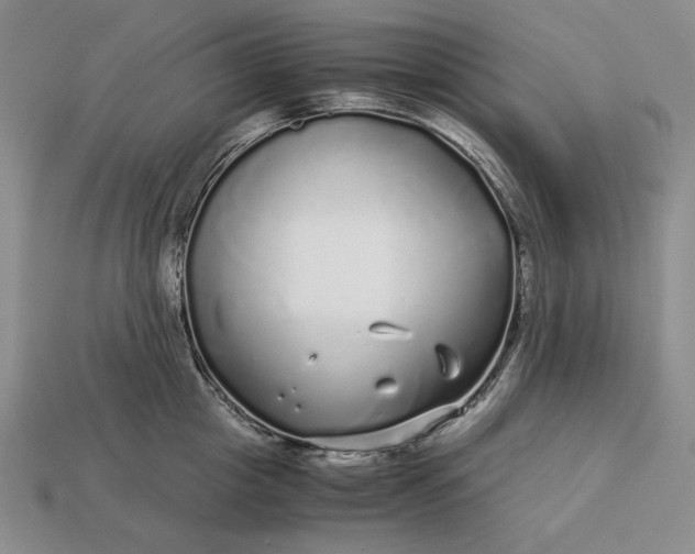 X0000112880857200909111442