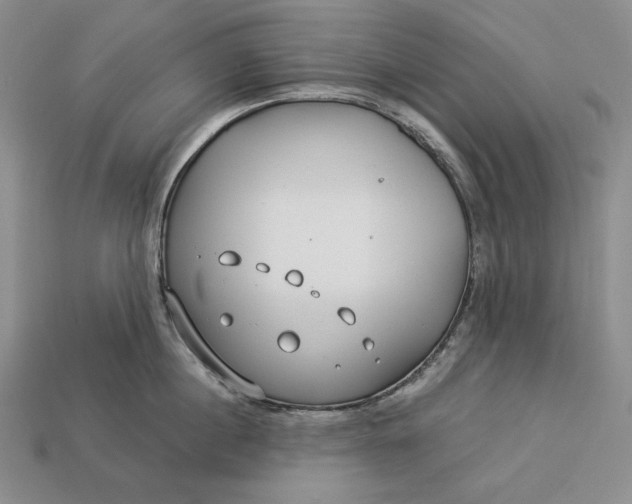 X0000112880860200909111442