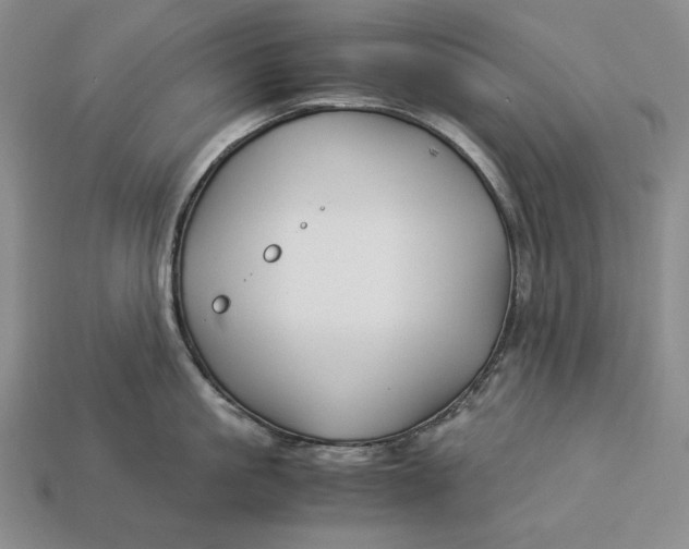 X0000112880861200909111442