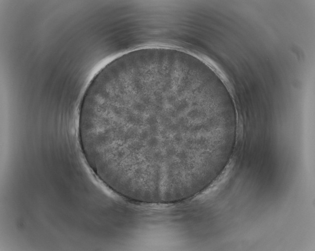 X0000112880862200909111442