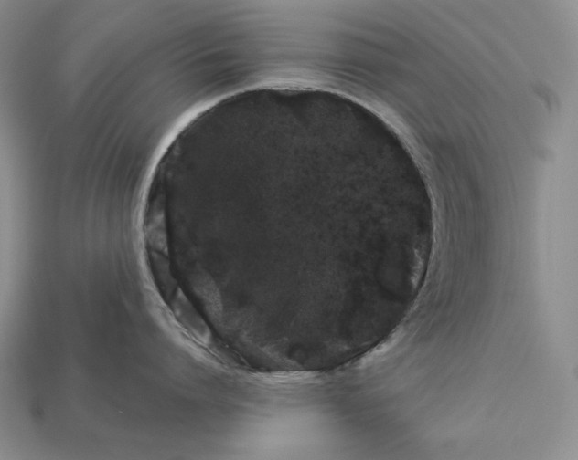 X0000112880864200909111442