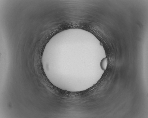 X0000112880865200909111441