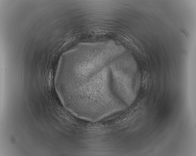 X0000112880866200909111441