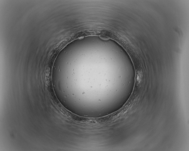 X0000112880867200909111441