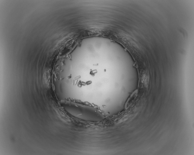 X0000112880868200909111441