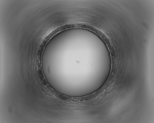 X0000112880871200909111441