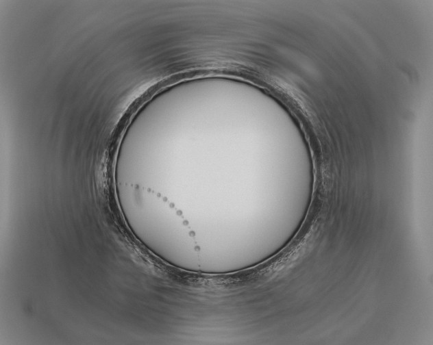 X0000112880875200909111441