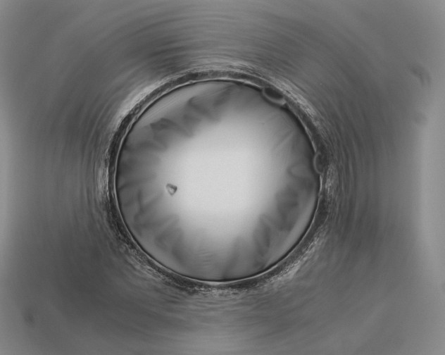 X0000112880877200909111441