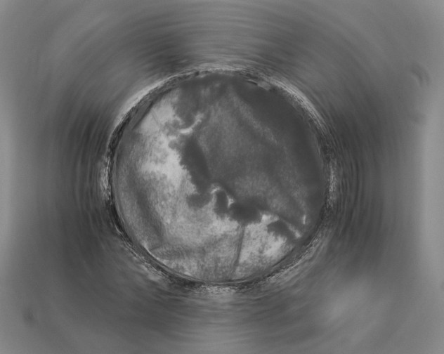 X0000112880878200909111441