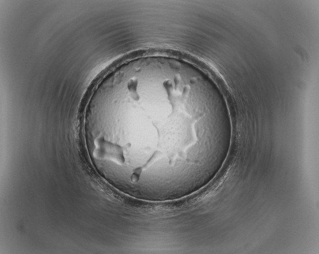 X0000112880879200909111441