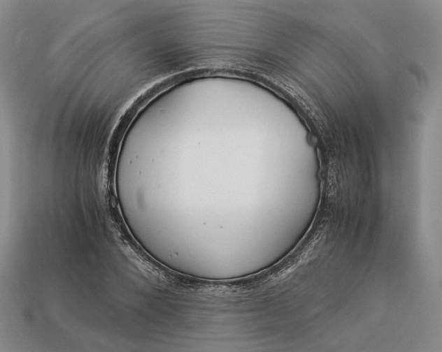 X0000112880880200909111441