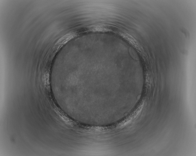 X0000112880881200909111441