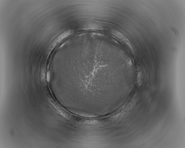 X0000112880882200909111441