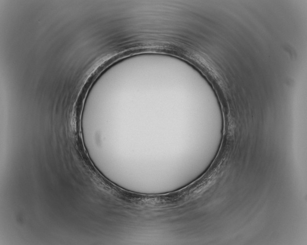 X0000112880883200909111441