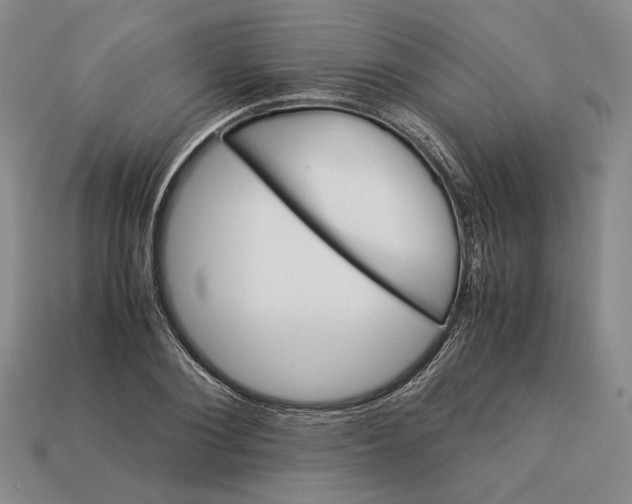 X0000112880884200909111441