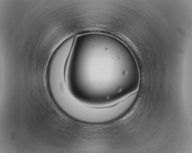 X0000112880885200909111441