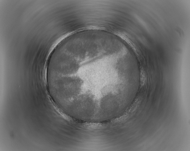 X0000112880886200909111441