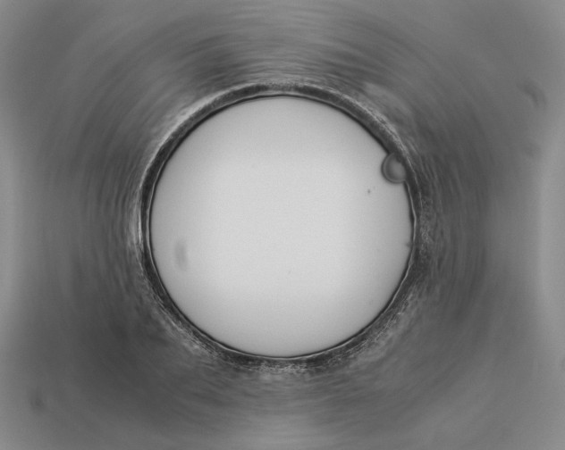 X0000112880887200909111441