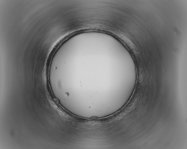 X0000112880888200909111441