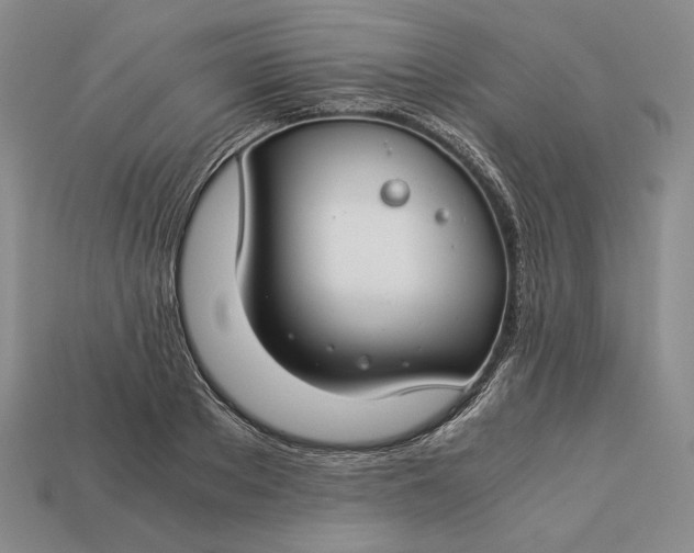 X0000112880889200909111441